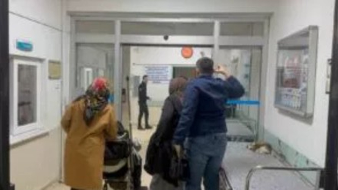 Trabzon’da düğün yemeği sonrası gıda zehirlenmesi şüphesi: 100 kişi hastanelik oldu