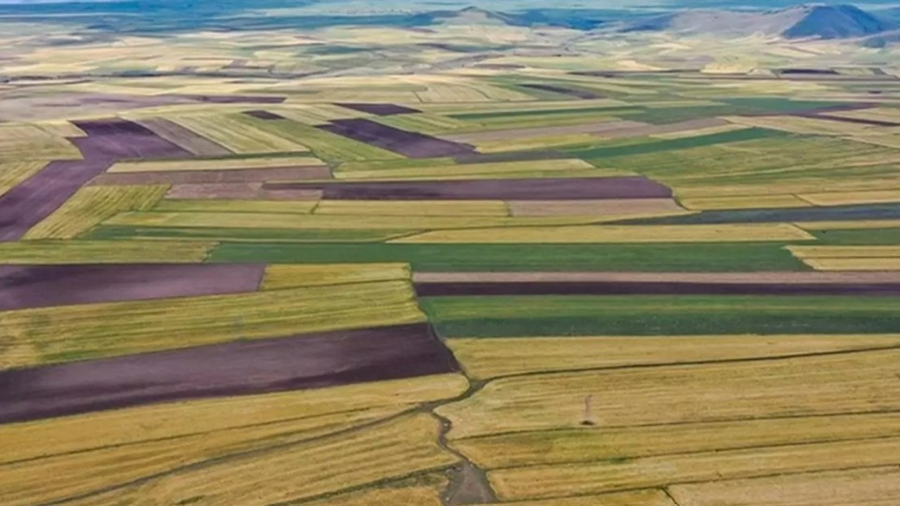 Yatırımcıların yeni rotası anadolu: Arsa değerinin en çok arttığı 10 il açıklandı
